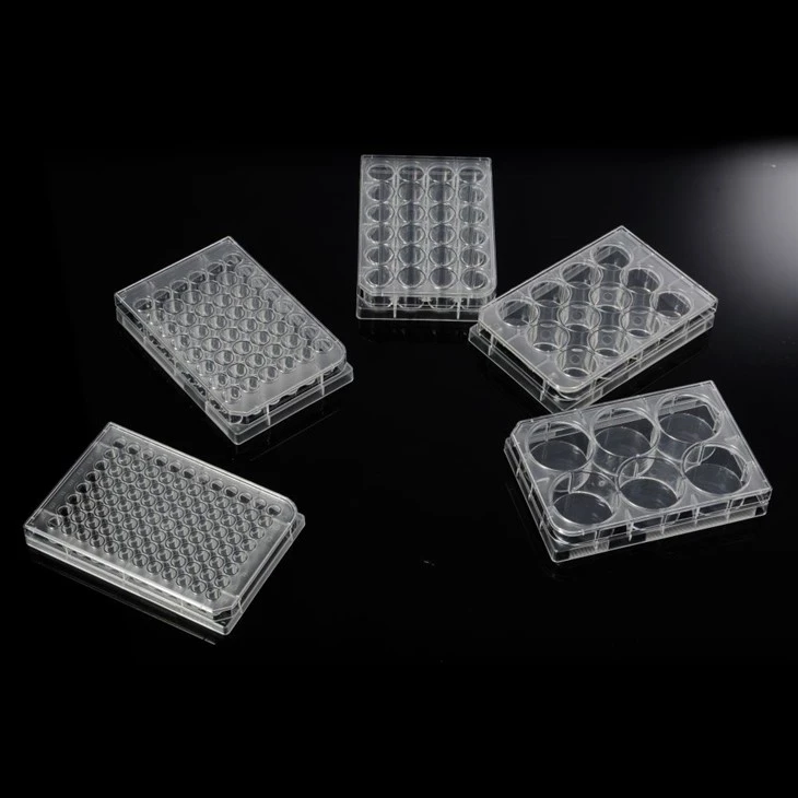 TC Treated 6/12/24/48/96-Well Cell Culture Plates