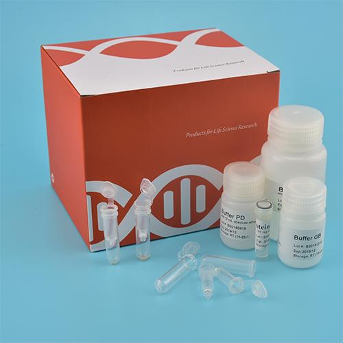 Komplet DNA genskih krvi (spinovi stupac)