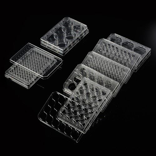 6-well 12-well 24-well 48-well 96-well Laboratory PlasticCell Culture Plates