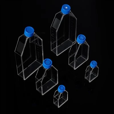 Cell Culture Flask